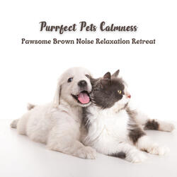 Pawprints' Path to Serenity