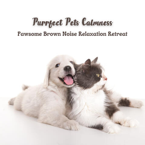 Purrfect Pets Calmness: Pawsome Brown Noise Relaxation Retreat