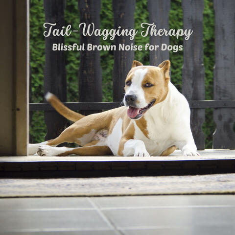 Tail-Wagging Therapy: Blissful Brown Noise for Dogs