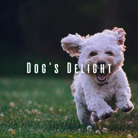 Dog's Delight: Chill Sounds with Nature's Symphonies
