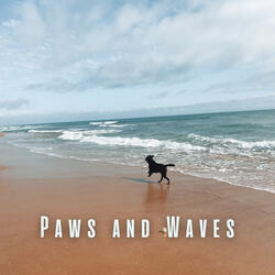 Contented Canines