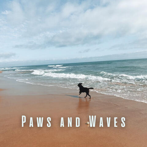 Paws and Waves: Soft Ocean and Binaural Sounds for Dogs