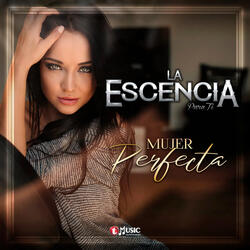 Mujer Perfecta
