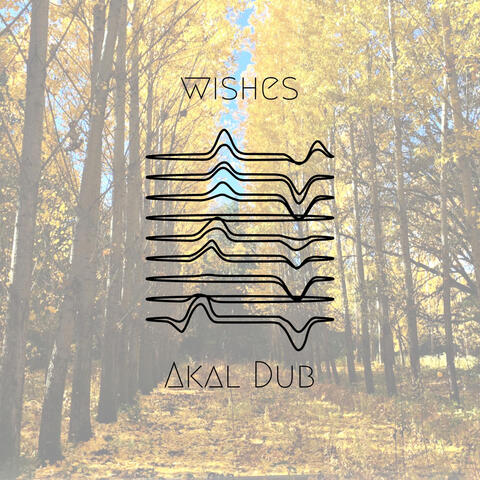 Wishes