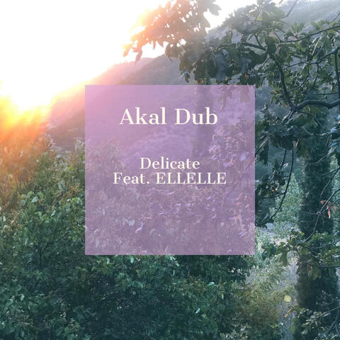 Delicate