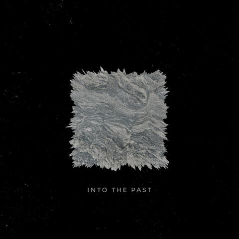 Into the Past