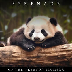 Serenade of the Treetop Slumber, Pt. 47