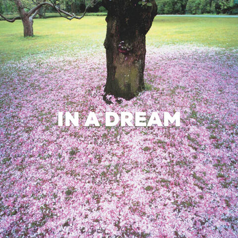 IN A DREAM