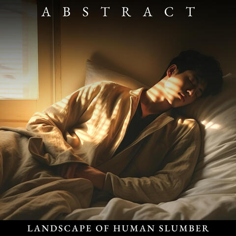Abstract Landscape of Human Slumber