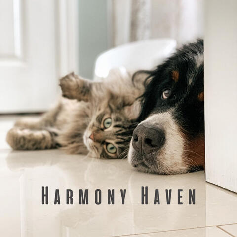 Harmony Haven: White Noise for Calming Anxious Pets