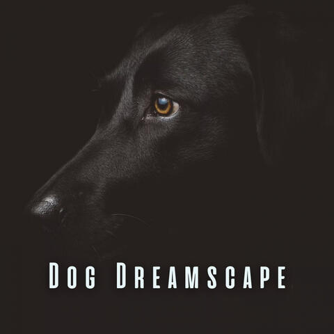 Dog Dreamscape: White Noise for Relaxing Canine Nights