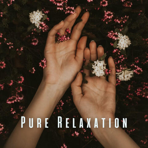 Pure Relaxation: Calming Atmosphere for Spa Retreats