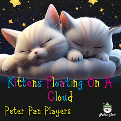 Kittens Floating On A Cloud