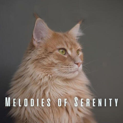Melodies of Serenity: Meditative Piano for Happy and Relaxed Pets