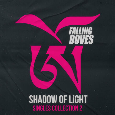 Shadow Of Light