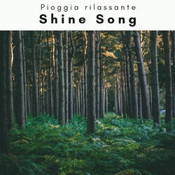 Sleep and Whisper Phase Lab