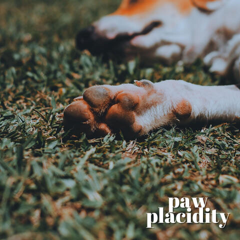 Paw Placidity