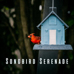Songbird Blissful Soiree