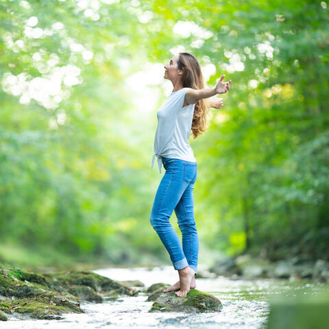 Nature Melodies: Birds and River Creek Symphony