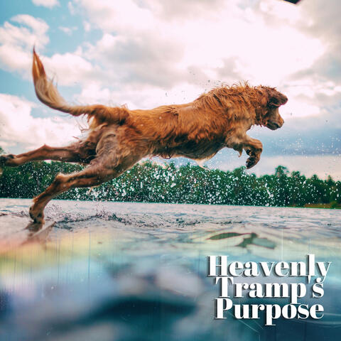 Heavenly Tramp's Purpose