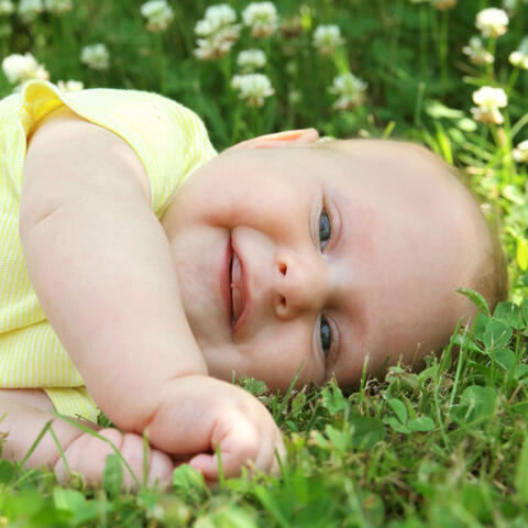 Forest Insect Serenity: Calming Ambient Sounds for Baby Relaxation