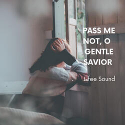 Pass me not, O gentle Savior