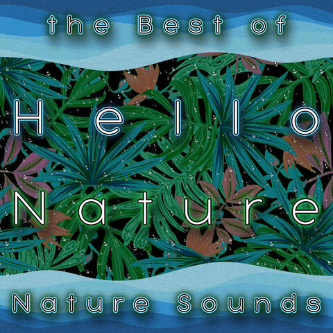Hello Nature, the Best of Nature Sounds