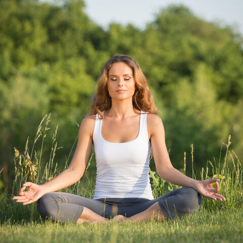 Enchanted Nature Serenity: A Binaural Journey for Deep Meditation Practice