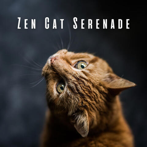 Zen Cat Serenade: Piano Meditations for Calming Cats