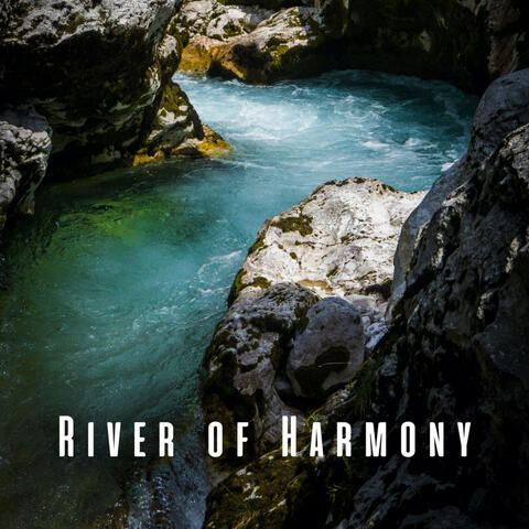 River of Harmony: Ambient Piano Melodies for Joyful Dogs