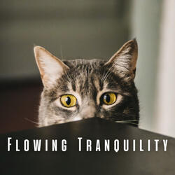 Whisker Waves of Serenity