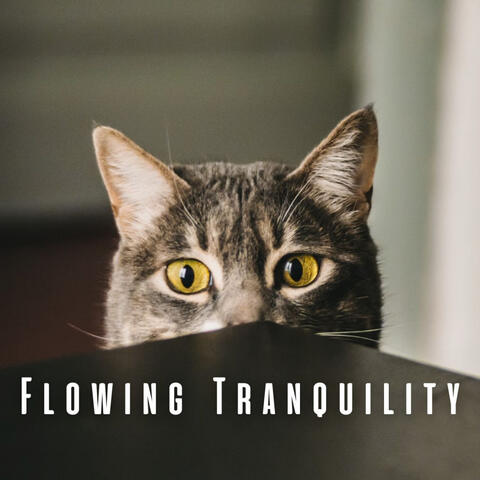 Flowing Tranquility: Calming River and Chill Music for Cats
