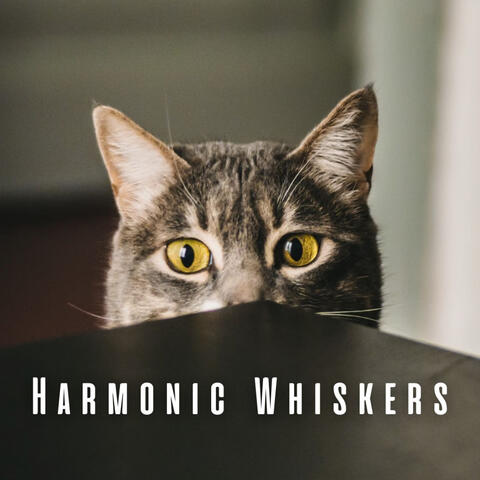 Harmonic Whiskers: Binaural Harmonies for Well-Adjusted Cats