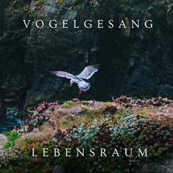 Vogelgesang Lebensraum, Pt. 70