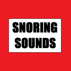The sound of snoring with a whistle