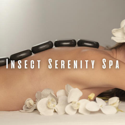 Insect Serenity Spa: Ocean Harmony and Chill Music for Pampering
