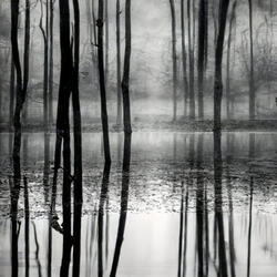 Soulful Awakening