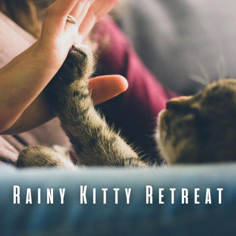 Rainy Kitty Retreat: Gentle Pink Noise for a Tranquil Cat Sanctuary