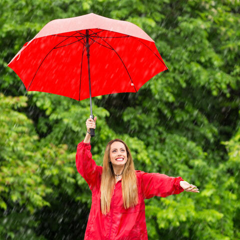 Umbrella's Symphony: Nature's Rain and Thunder Relaxation