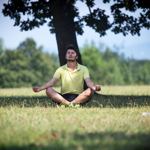 Rainy Tranquility: Binaural Melodies for Serene Meditation