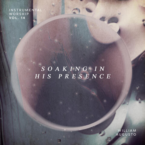 Soaking in His Presence, Vol. 14