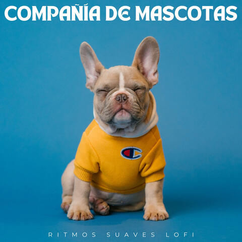 Compañía De Mascotas: Ritmos Suaves Lofi