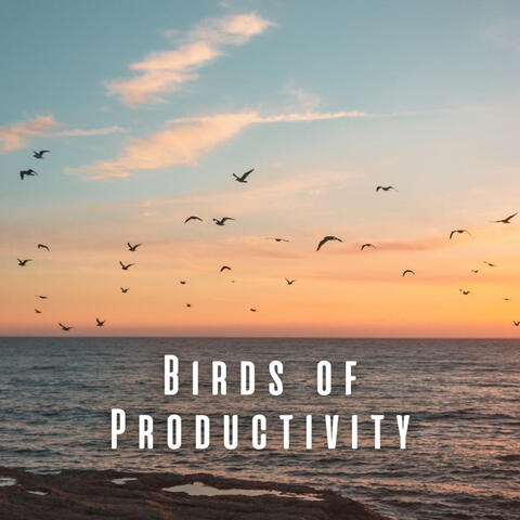 Birds of Productivity: Chill Work Music with Serene Nature Sounds