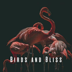 Chill Feathered Oasis