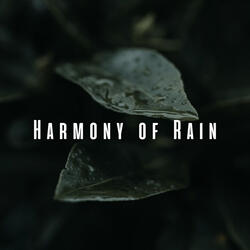 Serene Rain and Insect Harmony