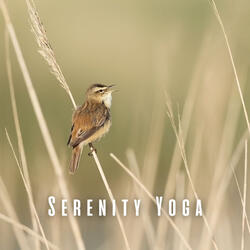Feathered Serenity Flow