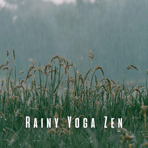 Rainy Yoga Zen: Nature's Insect Tunes with Chill Music