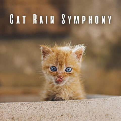 Cat Rain Symphony: Binaural Sounds with Theta Waves