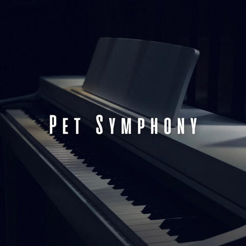 Pet Symphony: Piano Delights with Ambient Rainstorm Beats