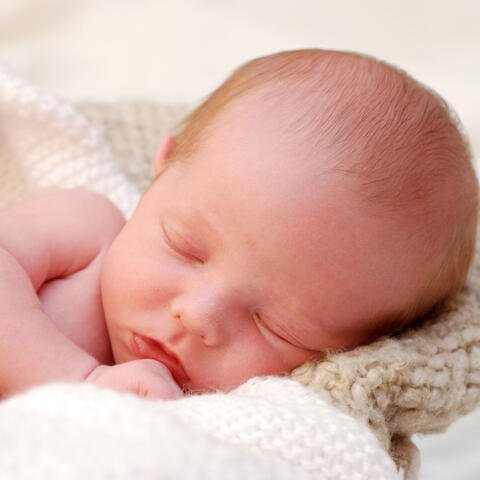 Cozy Aviary: Ambient Bird Songs for Peaceful Baby Sleep